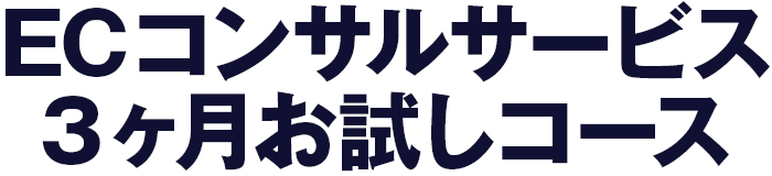 ECモンスターコンサルサービス3か月お試しコース
