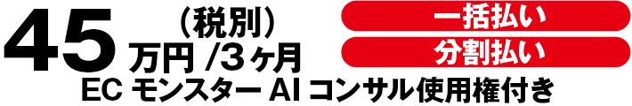 料金プラン495,000円（税込）/3か月